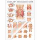 morepic-1