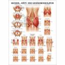 morepic-1