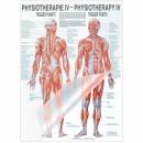 morepic-1
