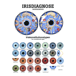 Miniposter und Poster der "Der Irisdiagnose u. des Auges" 