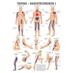 Taping - Basistechniken I Taping - Basistechniken I  | Lehrtafel 70 x 100 cm | unlaminiert