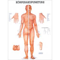 Miniposter "Körperakupunktur" Körperakupunktur II | Lehrtafel 70 x 100 cm | unlaminiert