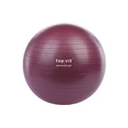 top | vit® gymnastic.ball 6.5 (65 cm) 