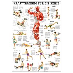 Krafttraining für die Beine 