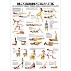 Beckenbodengymnastik 