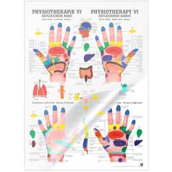 "Physiotherapie I-IX" Physiotherapie VI-Reflexzonen Hand | Mini-Poster 24 x 34 cm | laminiert