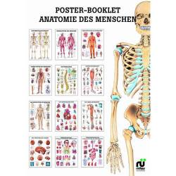 Mini Poster Booklet Booklet I - "Anatomie"