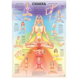 Lehrmittel "CHAKRA" Mini-Poster 24 x 34 cm | laminiert