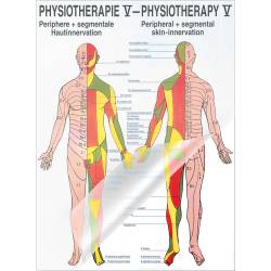 "Physiotherapie I-IX" Physiotherapie V-Hautinnervation | Poster 50 x 70 cm | laminiert