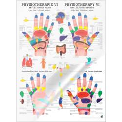 "Physiotherapie I-IX" Physiotherapie VI-Reflexzonen Hand | Poster 50 x 70 cm | laminiert