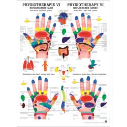 "Physiotherapie I-IX" Physiotherapie VI-Reflexzonen Hand | Poster 50 x 70 cm | unlaminiert
