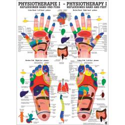 "Physiotherapie I-IX" Physiotherapie I-Reflexzonen Hand- u. Fuß | Poster 50 x 70 cm | unlaminiert