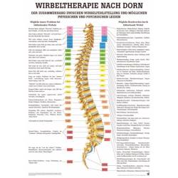 Wirbeltherapie nach Dorn Poster 50 x 70 cm | laminiert