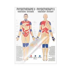 "Physiotherapie I-IX" Physiotherapie II-Thermotherapie | Mini-Poster 24 x 34 cm | laminiert