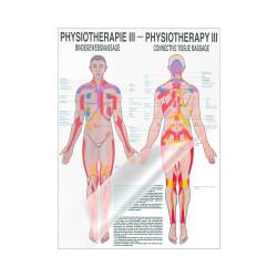 "Physiotherapie I-IX" Physiotherapie III-Bindegewebsmassage | Mini-Poster 24 x 34 cm | laminiert