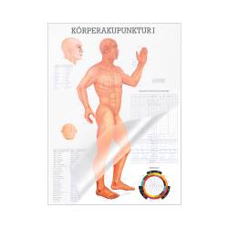 Miniposter "Körperakupunktur" Körperakupunktur I | Mini-Poster 24 x 34 cm | laminiert