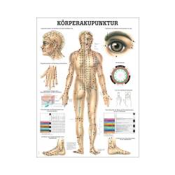 Miniposter "Körperakupunktur" Körperakupunktur | Mini-Poster 24 x 34 cm | unlaminiert