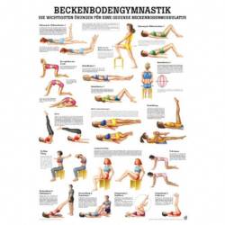 Beckenbodengymnastik Lehrtafel 70 x 100 cm | laminiert