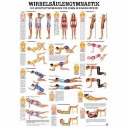 Wirbelsäulengymnastik u. Richtig & Falsch für den Rücken Wirbelsäulengymnastik | Lehrtafel 70 x 100 cm | laminiert