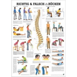 Wirbelsäulengymnastik u. Richtig & Falsch für den Rücken Richtig & Falsch für den Rücken | Mini-Poster 24 x 34 cm | laminiert