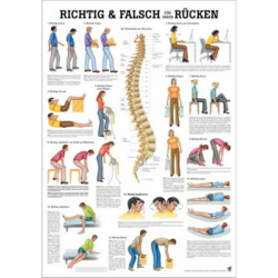 Wirbelsäulengymnastik u. Richtig & Falsch für den Rücken Richtig & Falsch für den Rücken | Lehrtafel 70 x 100 cm | laminiert