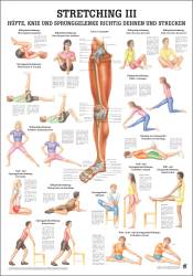 "Stretching I, II und III' Stretching III Hüfte u. Knie | Mini-Poster 24 x 34 cm | laminiert