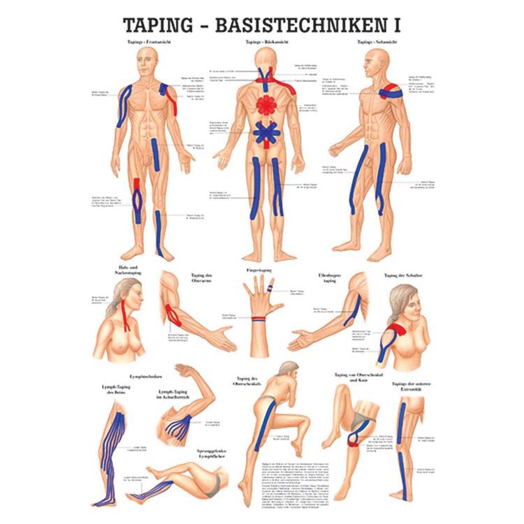 Öffne Miniposter "Taping - Basistechniken I"