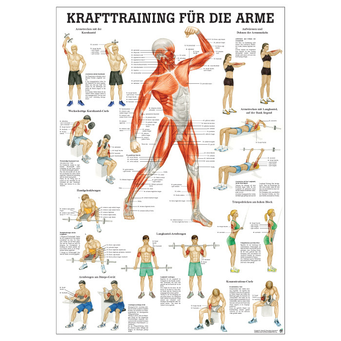 Öffne Lehrtafel & Poster für Krafttraining, laminiert und unlaminiert