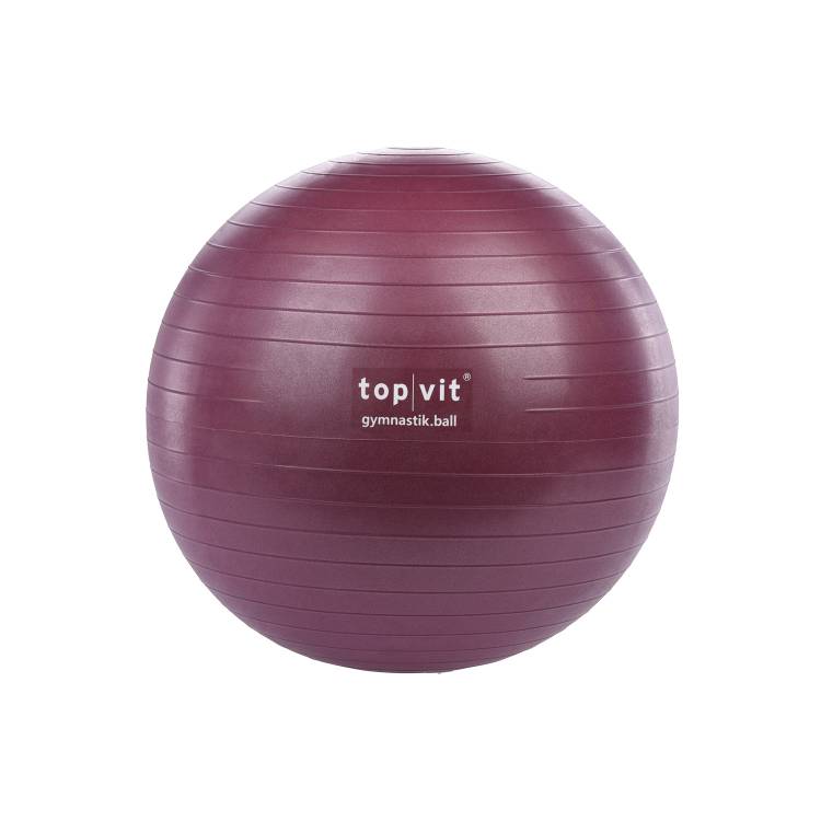 Öffne top | vit® gymnastic.ball 6.5 (65 cm)