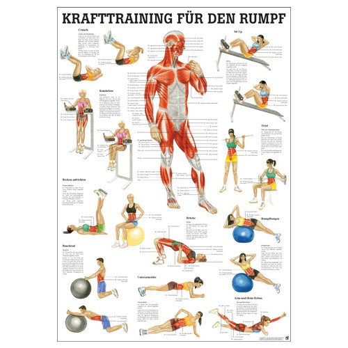 Öffne Mini-Poster "Krafttraining für den Rumpf", unlaminiert