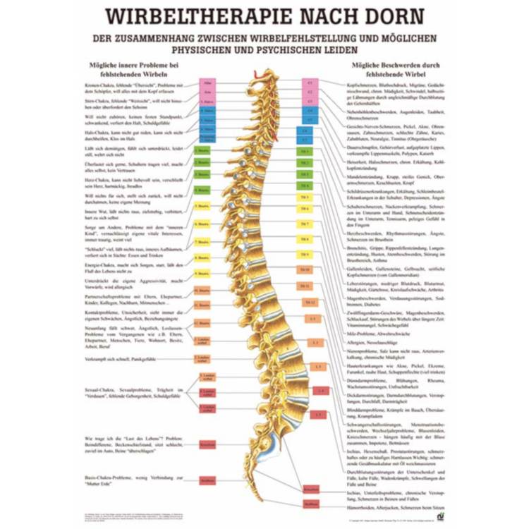 Öffne Lehrtafel "Wirbeltherapie nach Dorn", laminiert