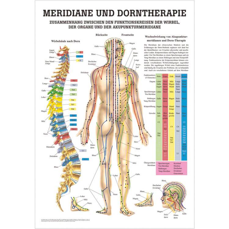 Öffne Mini-Poster "Meridiane und Dorntherapie", laminiert