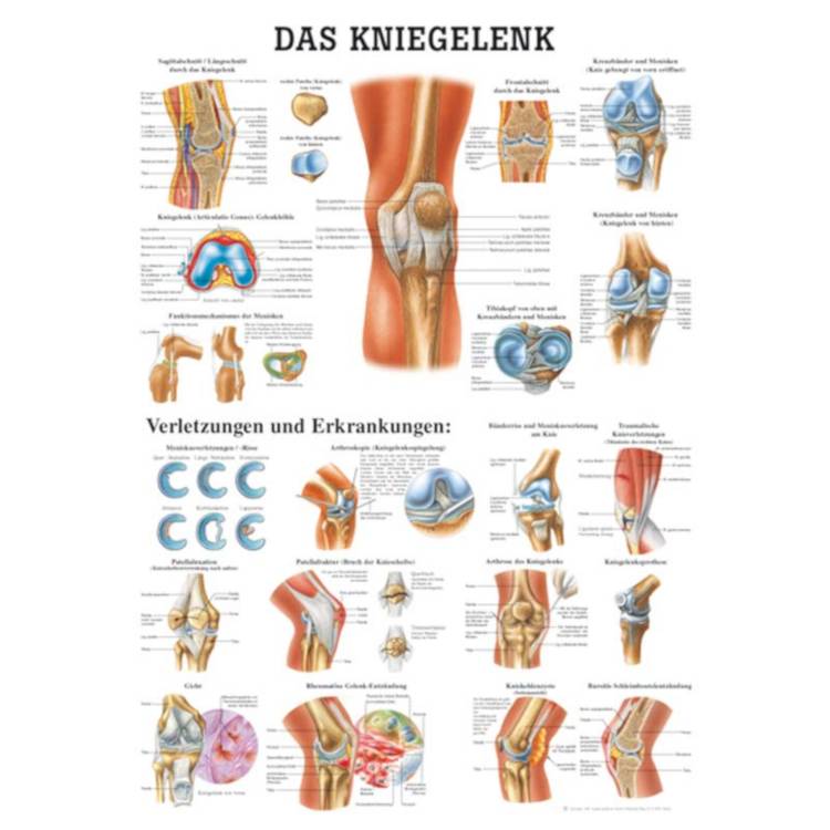 Öffne Kopf und Hals