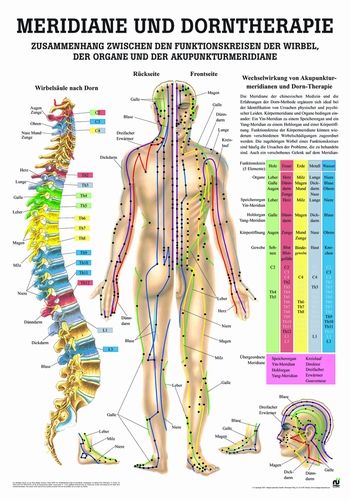 Öffne Lehrmittel Wirbeltherapie nach Dorn