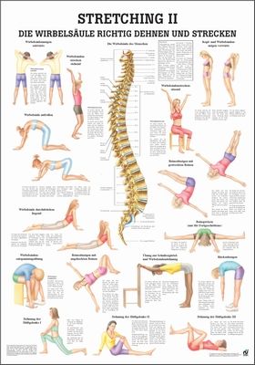 Öffne Miniposter "Stretching'