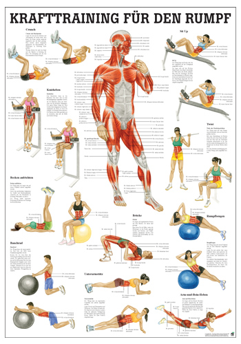 Öffne Lehrtafel & Poster für Krafttraining, laminiert und unlaminiert